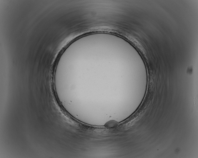 X0000090410989200708031038