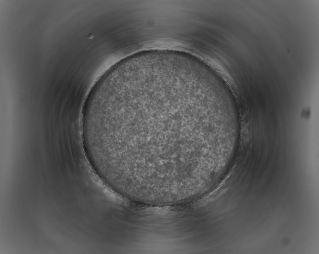 X0000090410990200708031038