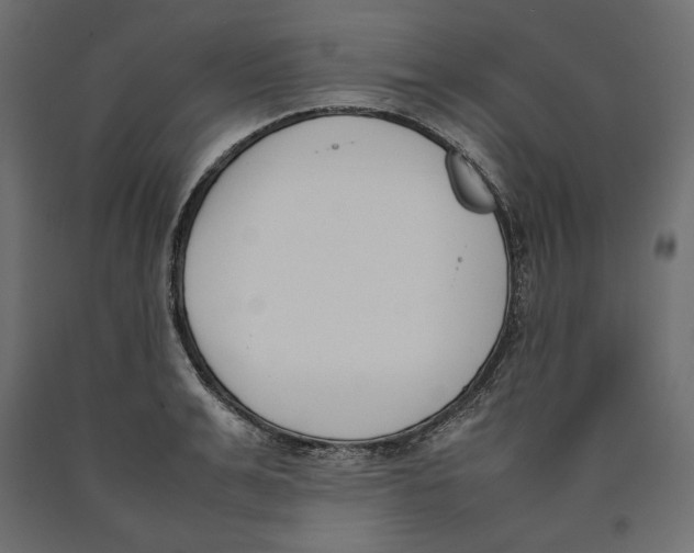 X0000090410991200708031038