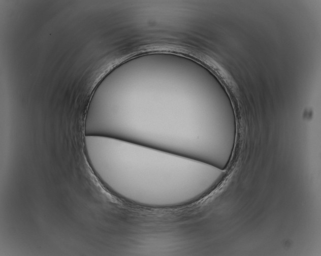 X0000090410993200708031038