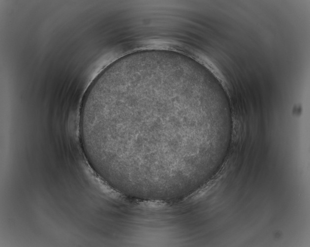 X0000090410994200708031038