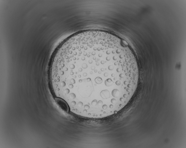X0000090410995200708031038