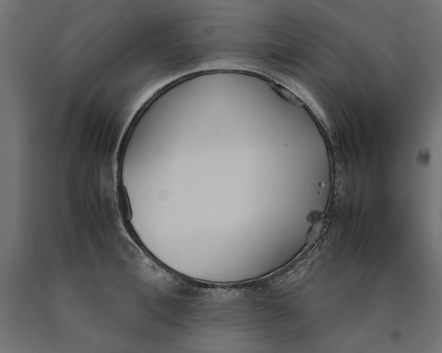 X0000090410996200708031038