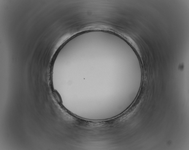 X0000090410997200708031038