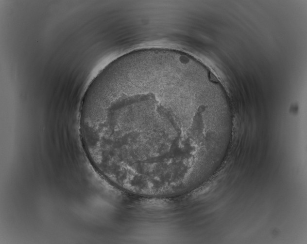 X0000090410998200708031038
