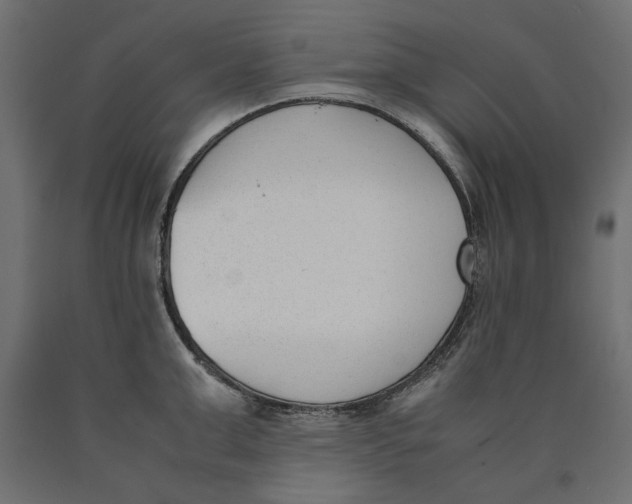 X0000090410999200708031038