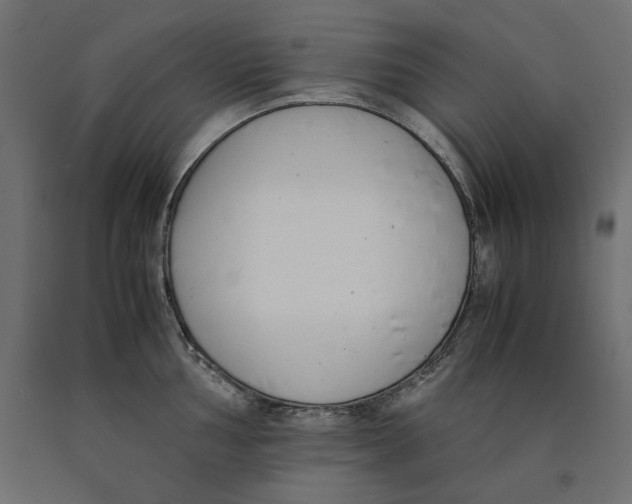X0000090411002200708031038