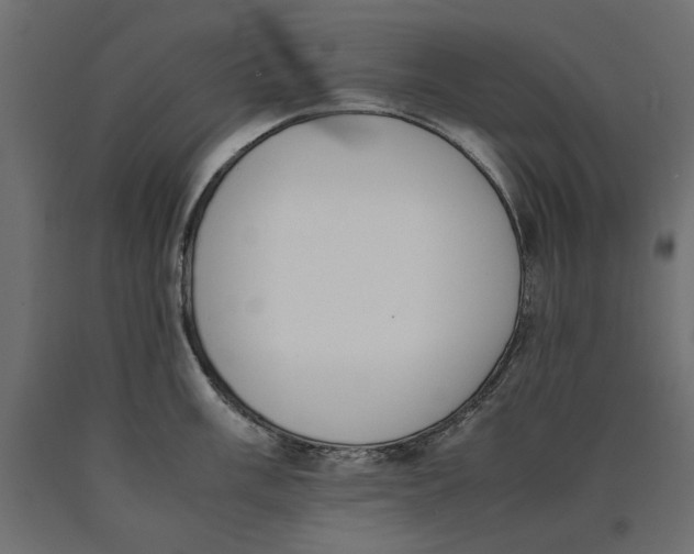 X0000090411003200708031038
