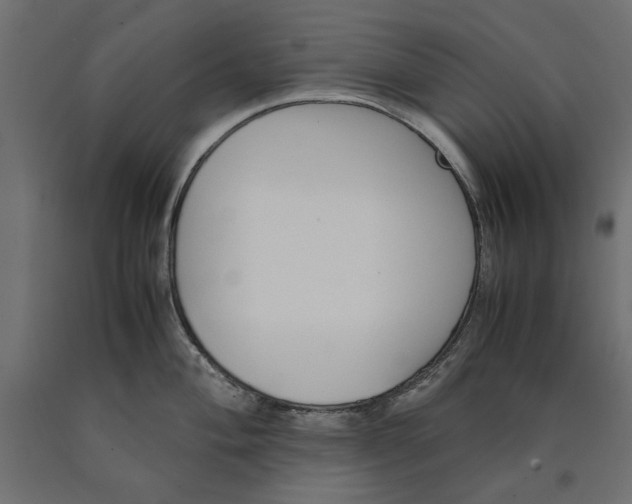 X0000090411004200708031038