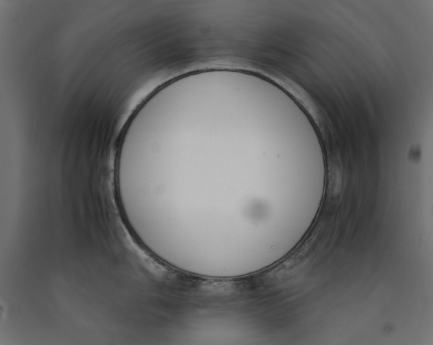 X0000090411006200708031038