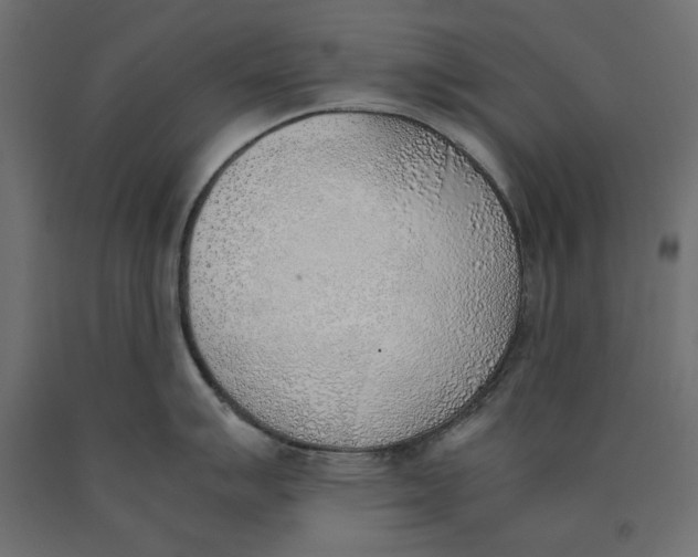X0000090411007200708031038