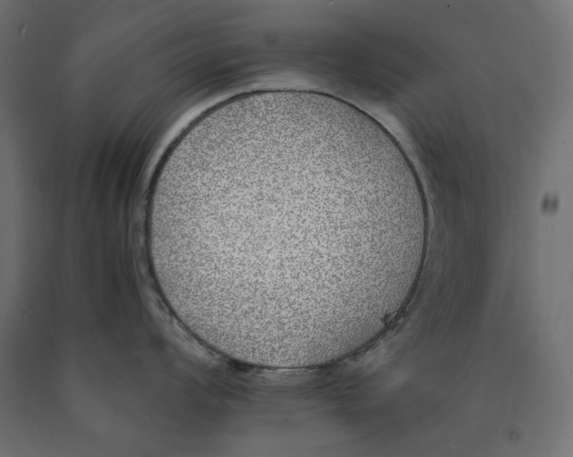X0000090411008200708031038