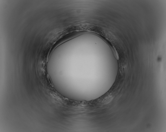 X0000090411010200708031037