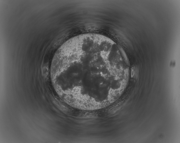 X0000090411011200708031037