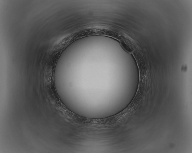 X0000090411014200708031037