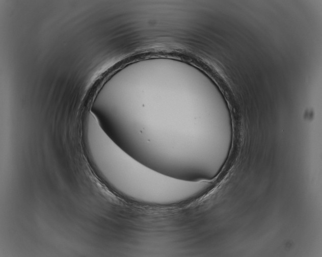 X0000090411018200708031037