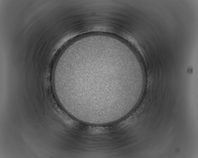 X0000090411019200708031037
