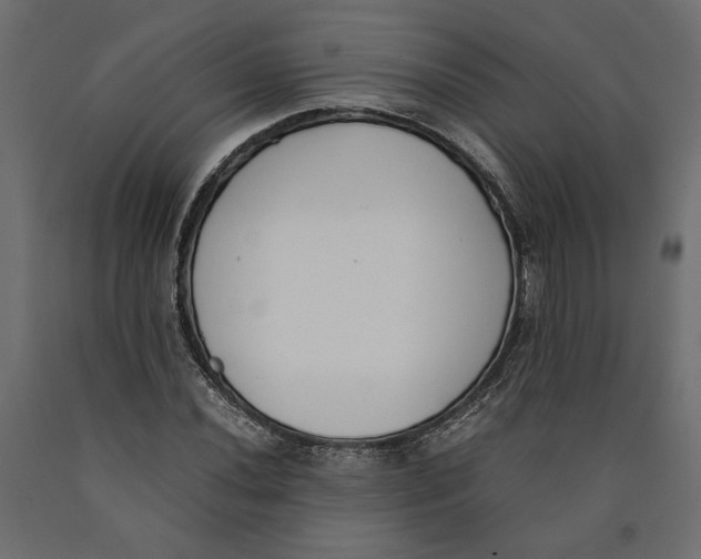 X0000090411020200708031037