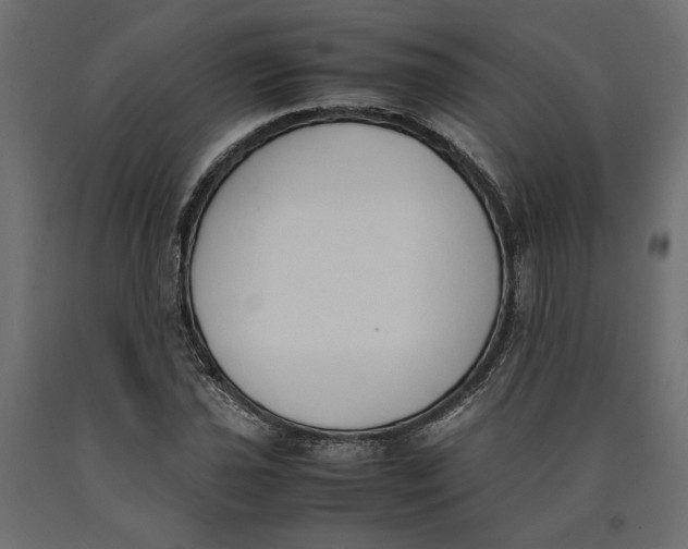 X0000090411021200708031037