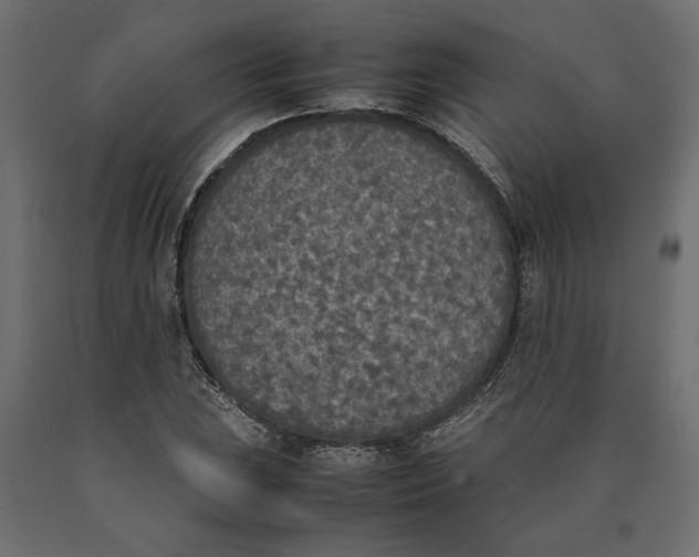 X0000090411023200708031037