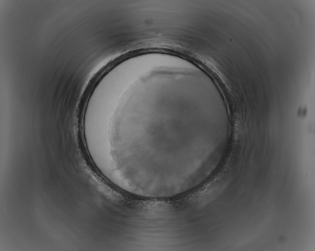 X0000090411024200708031037