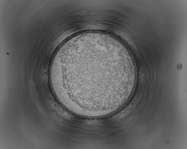 X0000090411025200708031037