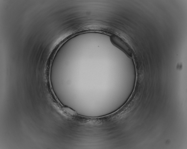 X0000090411026200708031037