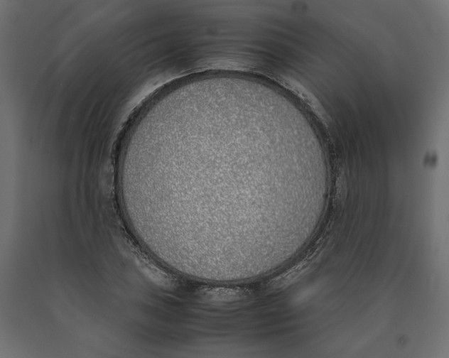 X0000090411027200708031037