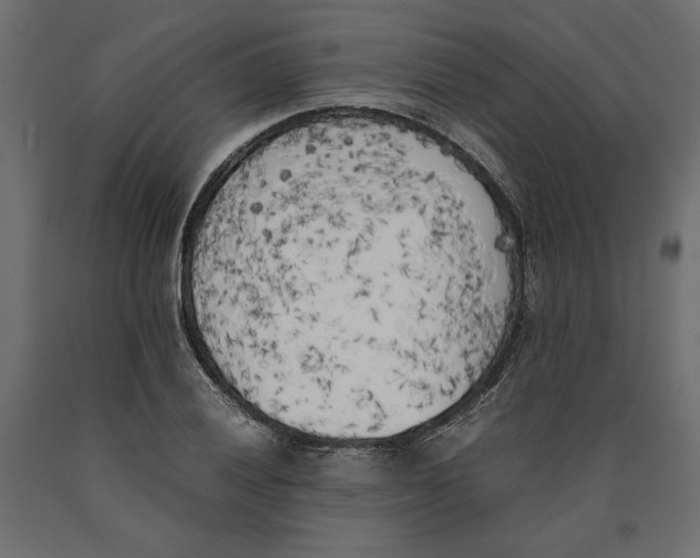 X0000090411028200708031037