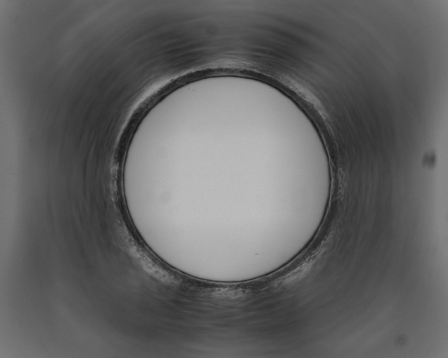 X0000090411029200708031037