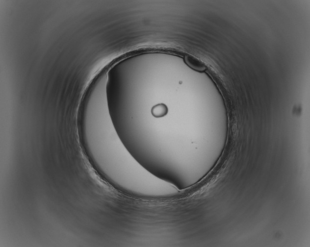 X0000090411030200708031037