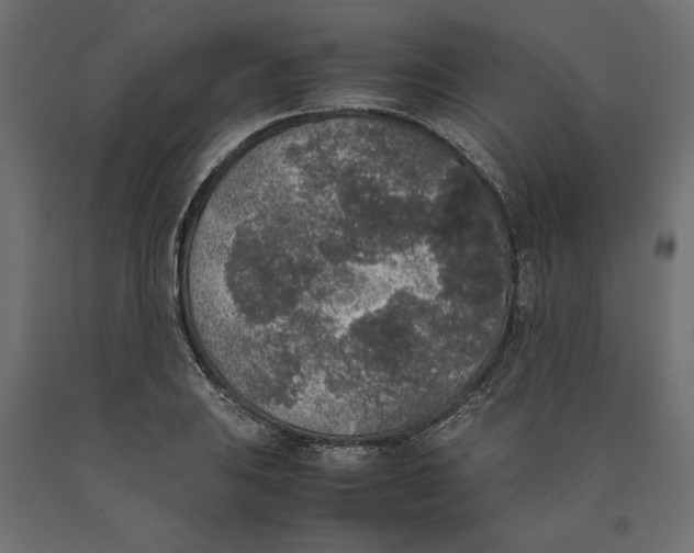 X0000090411031200708031037
