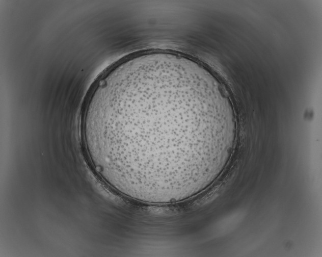 X0000090411032200708031037