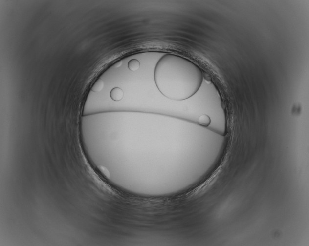 X0000090411033200708031037
