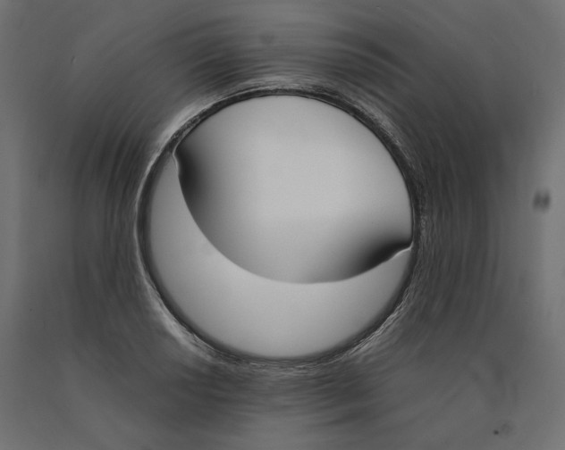 X0000090411034200708031037
