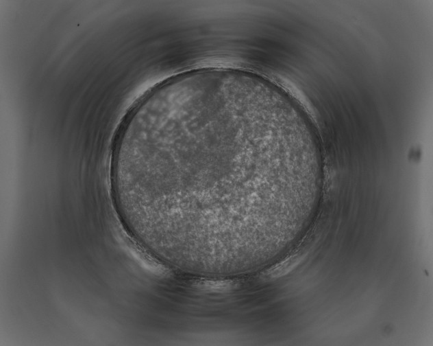 X0000090411035200708031038