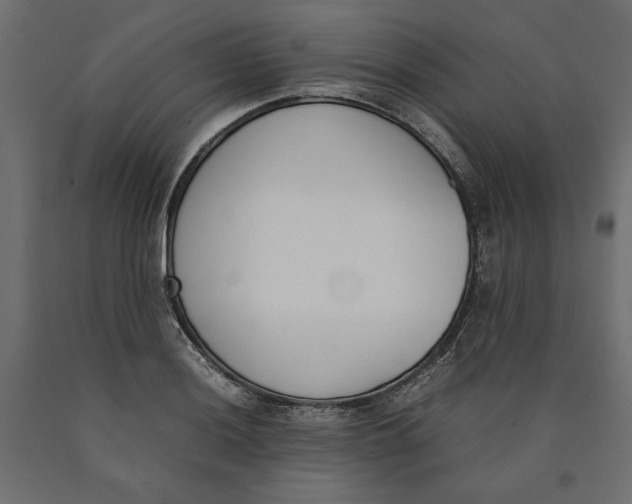 X0000090411036200708031038