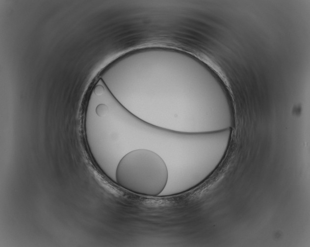 X0000090411037200708031038