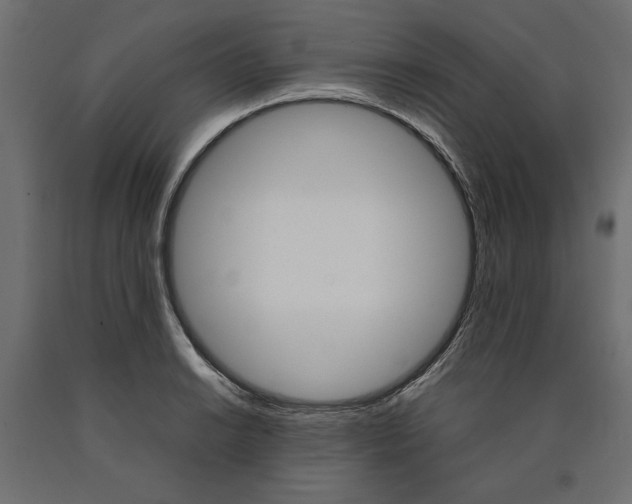 X0000090411038200708031038