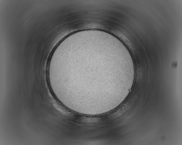 X0000090411039200708031038