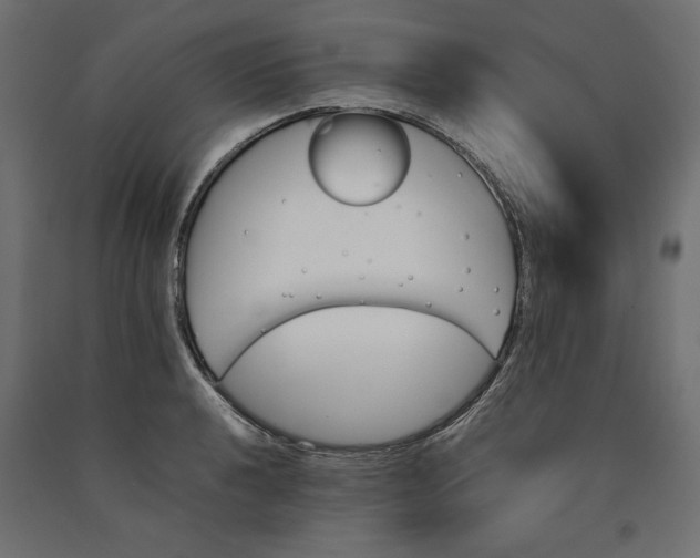 X0000090411040200708031038