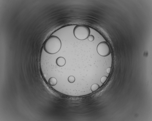 X0000090411041200708031038