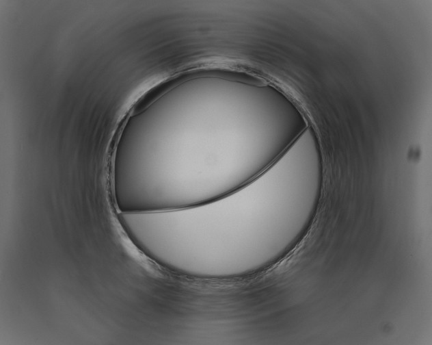 X0000090411042200708031038
