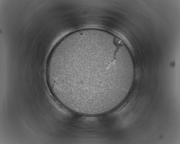 X0000090411043200708031038