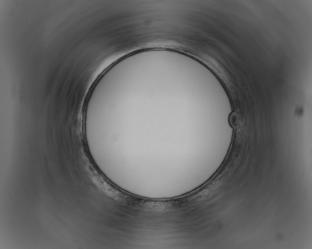 X0000090411044200708031038