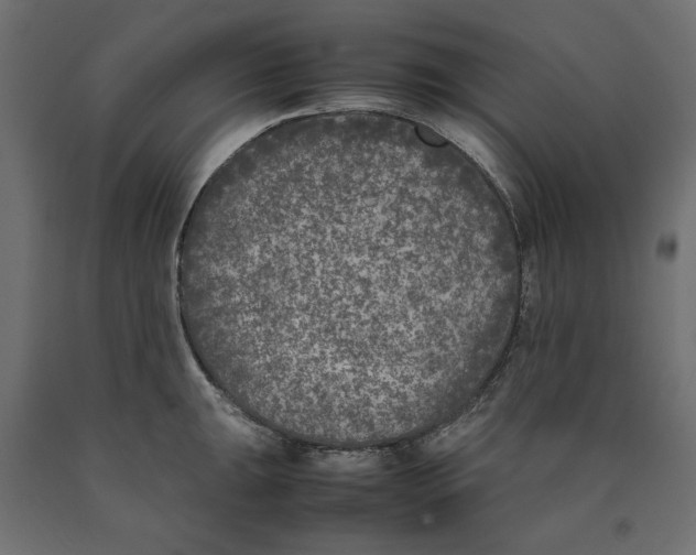 X0000090411047200708031038