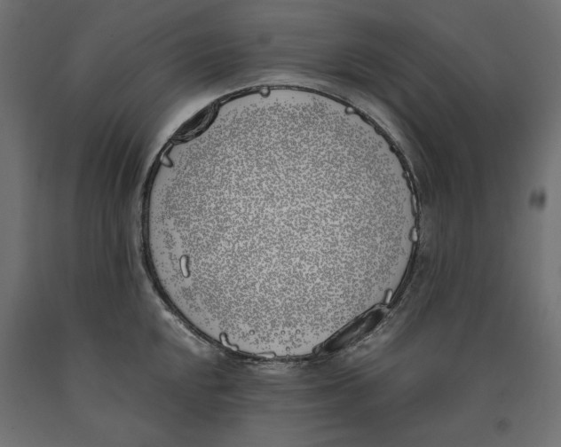 X0000090411048200708031038