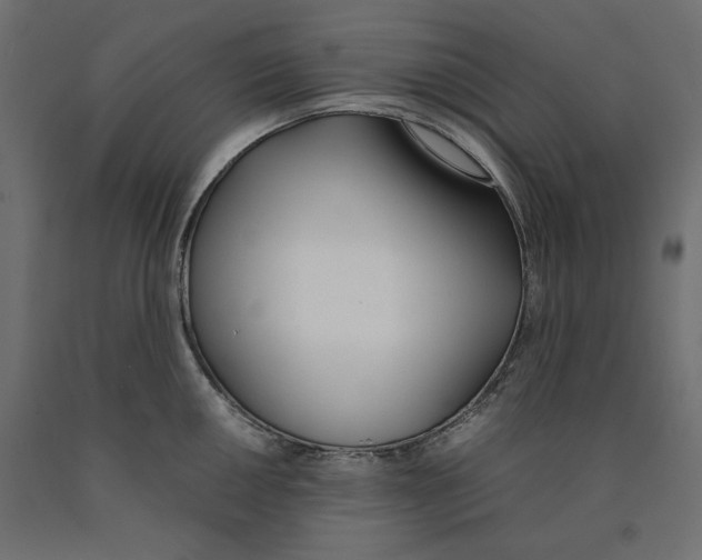 X0000090411050200708031038