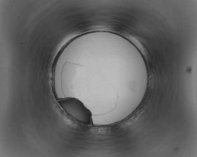 X0000090411051200708031038