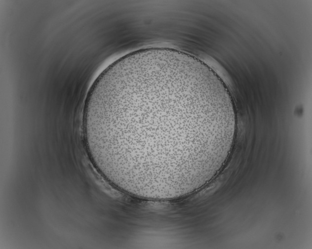 X0000090411052200708031038